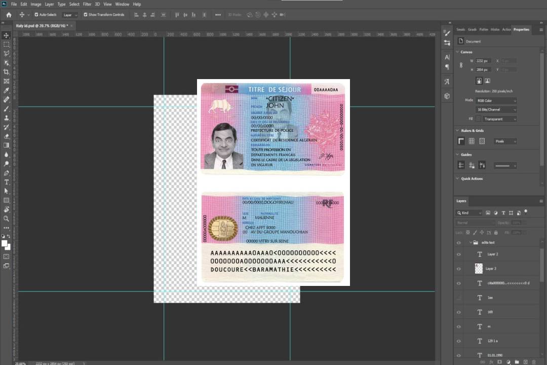 Titre de séjour en France template
